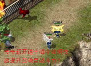 �����¿���ʿ������ο��������ٻ���ս������