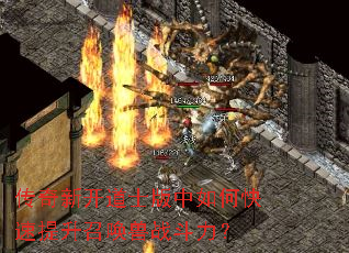 �����¿���ʿ������ο��������ٻ���ս������