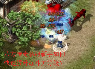 �˷�����˽��������ο�������ս�����ȼ���