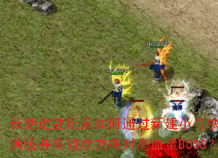 ���ڽ�פ������ͨ���½�С�ſ�������������Ч���˺�ʱ��Ѫ��BOSS��