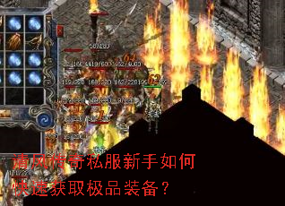 ��紫��˽��������ο��ٻ�ȡ��Ʒװ����