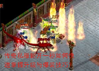 ����˽���¿�һ����ο������������뱬װ���ɣ�