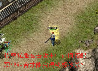 传奇私服合击版本中如何搭配职业组合才能实现终极秒杀? 传奇私服合击版本中如何搭配职业组合才能实现终极秒杀?