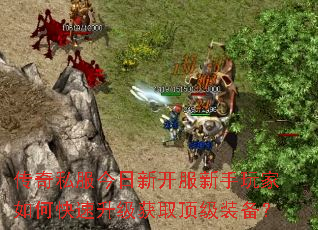 ����˽�������¿������������ο���������ȡ����װ����