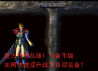 ���Ŵ���˽��1.76��Ұ���ο�������ս����ȡװ����