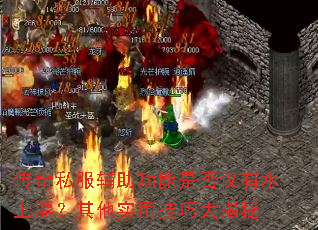 传奇私服辅助功能是否仅有水上漂?其他实用技巧大揭秘 传奇私服辅助功能是否仅有水上漂?其他实用技巧大揭秘