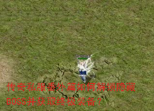 ����˽������ƪ��ν�������BOSS����ȡ�ռ�װ����