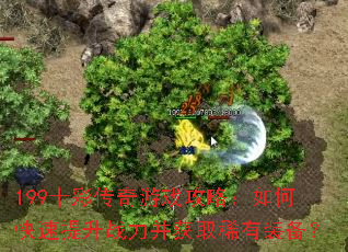 199ʮ�ʴ�����Ϸ���ԣ���ο�������ս������ȡϡ��װ����