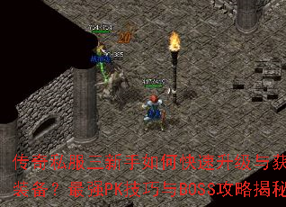 传奇私服三新手如何快速升级与获取顶级装备?最强PK技巧与BOSS攻略揭秘 传奇私服三新手如何快速升级与获取顶级装备?最强PK技巧与BOSS攻略揭秘