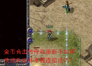 金币合击传奇私服新手如何快速升级并掌握连招技巧? 金币合击传奇私服新手如何快速升级并掌握连招技巧?