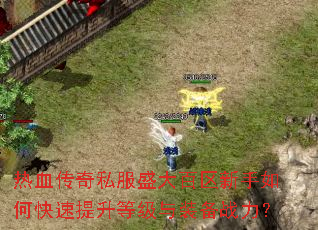 热血传奇私服盛大百区新手如何快速提升等级与装备战力? 热血传奇私服盛大百区新手如何快速提升等级与装备战力?
