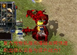 ���Ŵ���˽���߱�����ο���ˢ����Ʒװ��������ս����