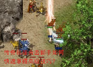 ����˽���ϻ�������ο������ո߼����ɣ�