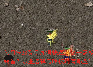 ����˽��������ο�����������ȡ����װ����ְҵѡ����PK��������Щ��