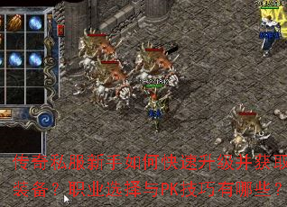 ����˽��������ο�����������ȡ����װ����ְҵѡ����PK��������Щ��