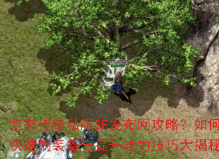 变态传奇私服SF发布网攻略?如何快速刷装备与提升战力技巧大揭秘 变态传奇私服SF发布网攻略?如何快速刷装备与提升战力技巧大揭秘