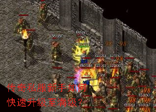 ����˽��������ο���������������