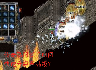 ����˽��������ο���������������