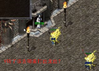 9转了该去哪里打血龙血? 9转了该去哪里打血龙血?