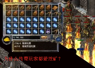 Ϊʲô������Ҷ����ڿ�