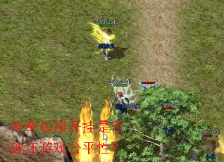 ����˽�������Ƿ��ƻ���Ϸ��ƽ�ԣ�