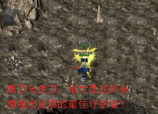 ӥ���뻢����˭���Ƿ�ʦ�����ȶ���չ������ػ��ߣ�