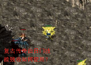 ���Ŵ�������ż��ܲо����ʹ�ã�