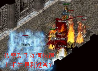 ����������ο������ֲ�˳�����ɣ�