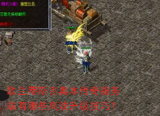 ������˹���±�������������Щ��Ч�������ɣ�