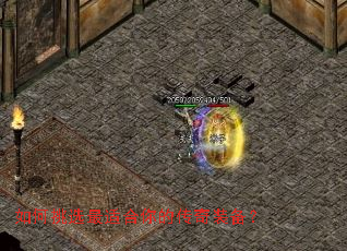 �����ѡ���ʺ���Ĵ���װ����