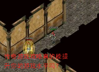 ������Ϸ������������������Ϸˮƽ��