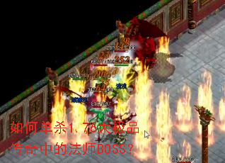 ��ε�ɱ1.76��Ʒ�����еķ�ʦBOSS��