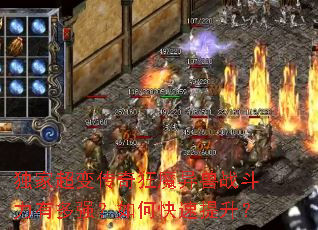 ���ҳ��䴫���ħ����ս�����ж�ǿ����ο���������