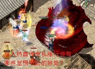 ������Ѫ����˽���л�����Щ���벻���ĺô���