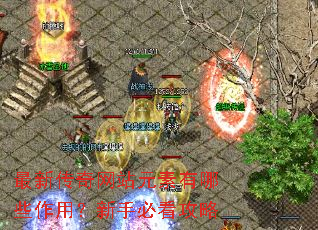 ���´�����վԪ������Щ���ã����ֱؿ�����