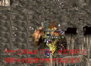 ���淨ʦ�������ȫ�������ʦְҵ������������ʵս����