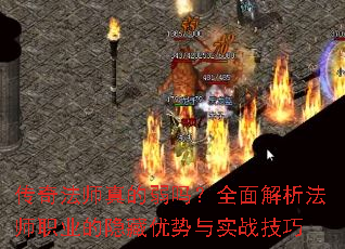 ���淨ʦ�������ȫ�������ʦְҵ������������ʵս����