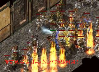 ����˽��������ָ����������ã�