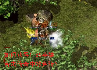 ��λ��1.85Ӣ�ۺϻ������еĽ�ש��