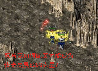 �����������װ���ܳ�Ϊ����߲�BOSS���ǣ�