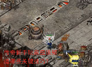 �����������Ӧ��֪����Щ�ؼ����ɣ�