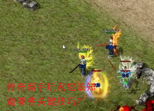 �����������Ӧ��֪����Щ�ؼ����ɣ�