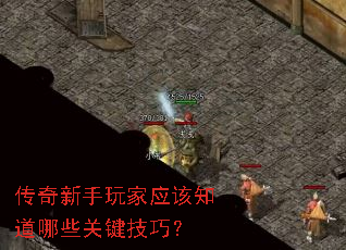 �����������Ӧ��֪����Щ�ؼ����ɣ�