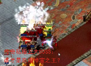 ����˽�����BOSS��˭���Ǹ߱�����֮����