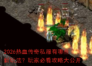 2026��Ѫ����˽������Щ���淨����ұؿ����Դ󹫿�