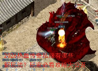 2026��Ѫ����˽������Щ���淨����ұؿ����Դ󹫿�