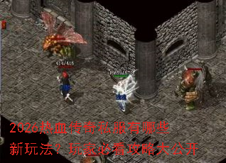 2026��Ѫ����˽������Щ���淨����ұؿ����Դ󹫿�