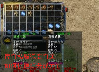 ����˽��΢����;����ο�������ս����