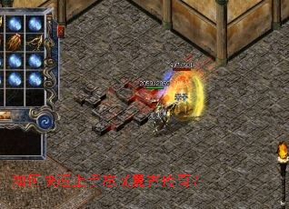 ��ο����������Ǹ��Ŵ��棿