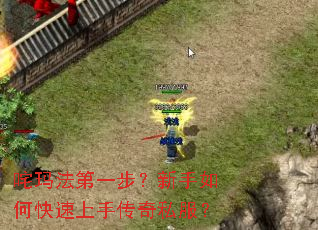 ���귨��һ����������ο������ִ���˽����